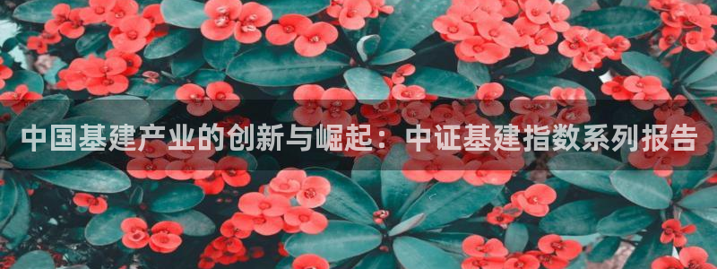 华润娱乐枷92222