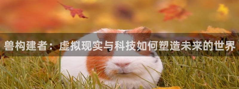 华润娱乐彩票平台app